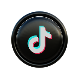 中国抖音 / Douyin